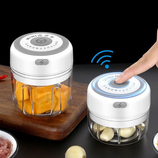 One Blue 30w Electric Food Chopper & Garlic Masher & Vegetable Cutter, Usb  Rechargeable Kitchen Appliance, 100ml